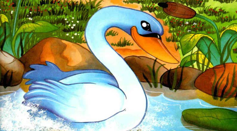 Il Cigno e il Suo Padrone | Esopo | Favole per Bambini