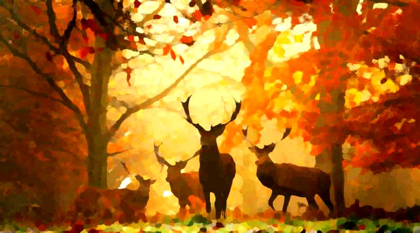 Il Cervo e la Vite | Esopo | Favole per bambini