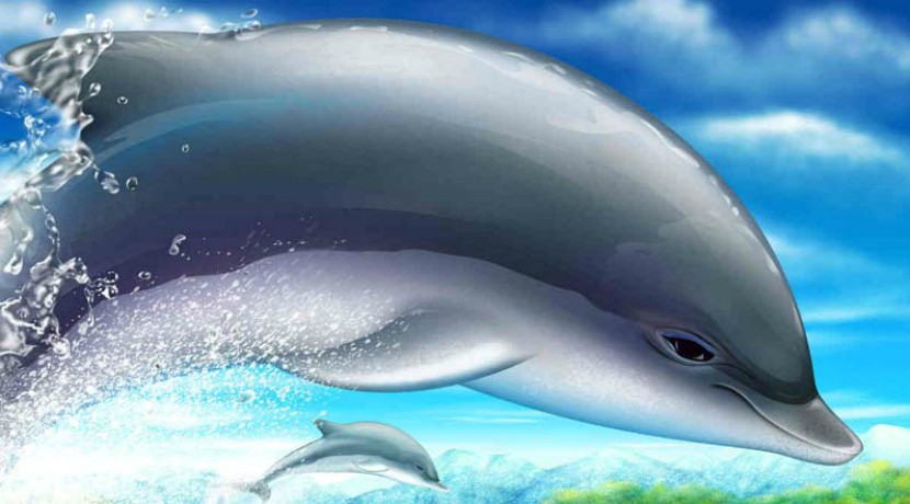 Il Leone e il Delfino | Esopo | Favole per Bambini